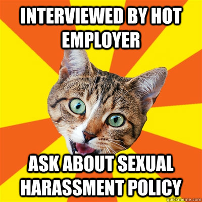 interviewed by hot employer Ask about sexual harassment policy  Bad Advice Cat