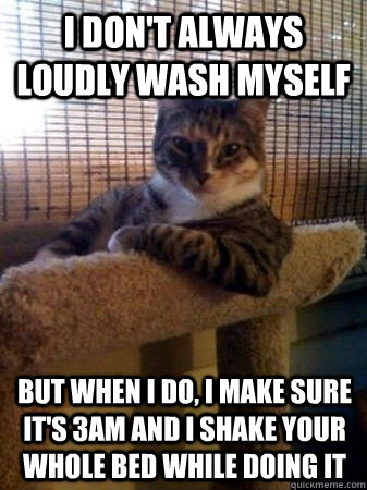 I don't always loudly wash myself but when I do, i make sure it's 3am and I shake your whole bed while doing it  The Most Interesting Cat in the World