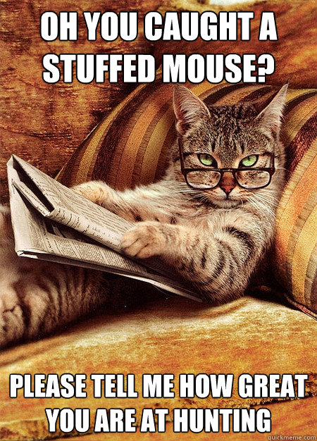 Oh you caught a stuffed mouse? Please tell me how great you are at hunting - Oh you caught a stuffed mouse? Please tell me how great you are at hunting  Misc