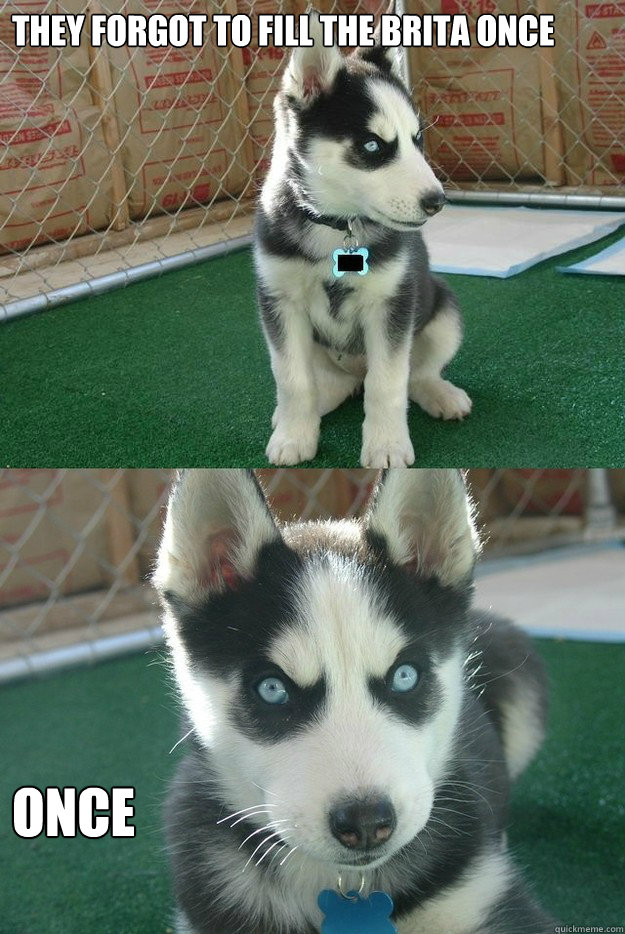 they forgot to fill the brita once once  Insanity puppy
