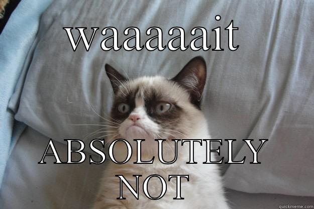 WAAAAAIT ABSOLUTELY NOT Grumpy Cat