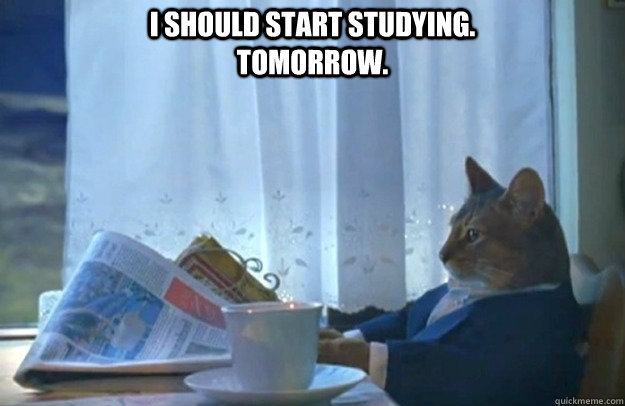 I should start studying. Tomorrow.   Sophisticated Cat