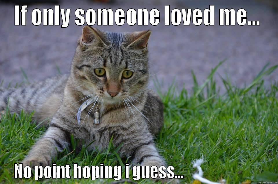 IF ONLY SOMEONE LOVED ME... NO POINT HOPING I GUESS...                            Misc