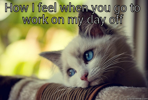 HOW I FEEL WHEN YOU GO TO WORK ON MY DAY OFF  First World Problems Cat