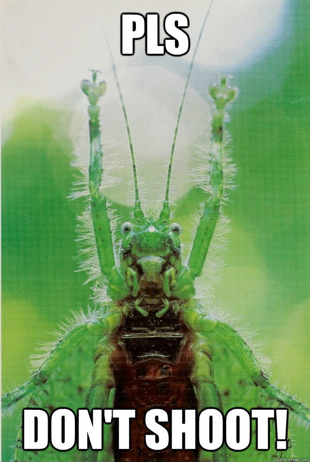PLS Don't shoot! - PLS Don't shoot!  Suprised Grasshopper