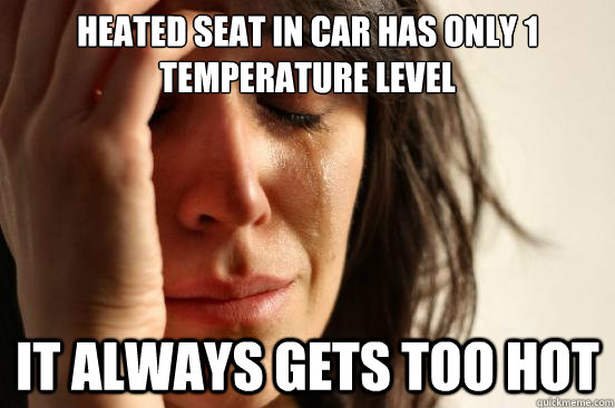 Heated seat in car has only 1 temperature level It always gets too hot  First World Problems