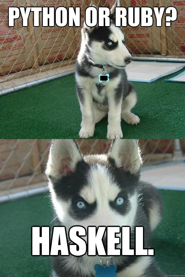 Python or Ruby? Haskell.  Insanity puppy