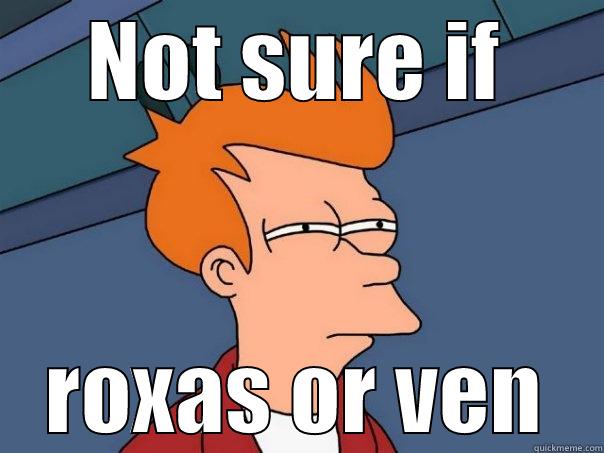 NOT SURE IF ROXAS OR VEN Futurama Fry