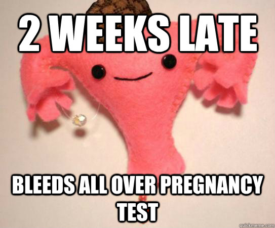 2 weeks late bleeds all over pregnancy test  Scumbag Uterus