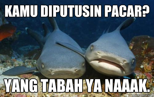 kamu diputusin pacar? yang tabah ya naaak.  Compassionate Shark Friend