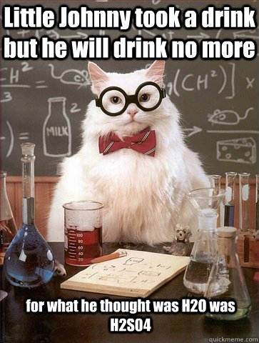 Little Johnny took a drink but he will drink no more for what he thought was H2O was H2S04 - Little Johnny took a drink but he will drink no more for what he thought was H2O was H2S04  Chemistry Cat