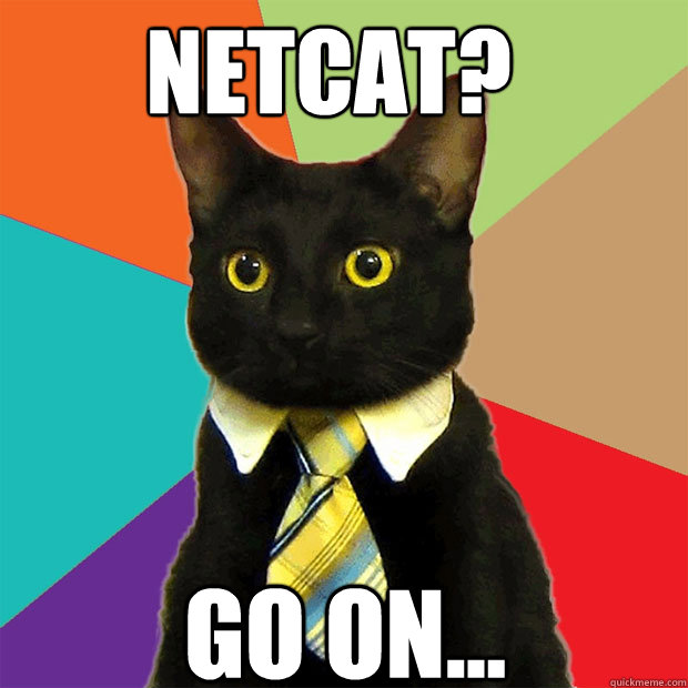 netcat? Go on... - netcat? Go on...  Business Cat
