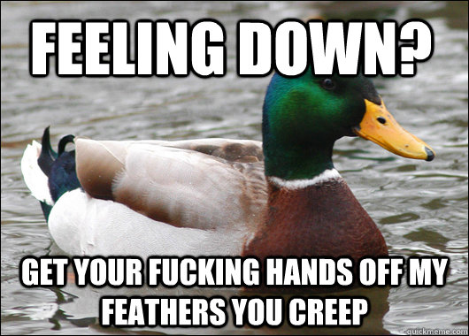 Feeling down? get your fucking hands off my feathers you creep  Actual Advice Mallard
