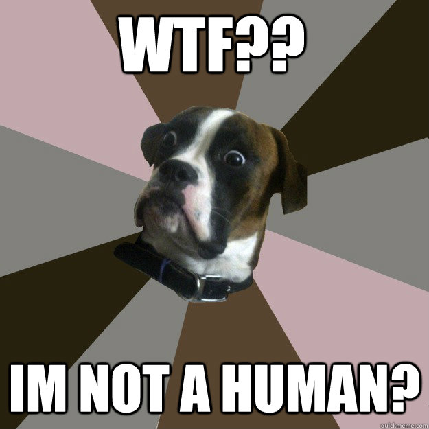 wtf?? im not a human?  Genuinely Surprised Dog