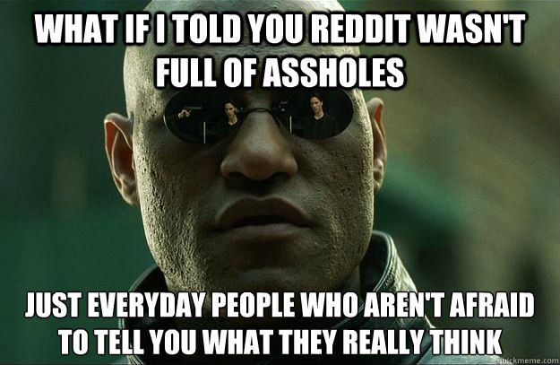 What if I told you reddit wasn't full of assholes just everyday people who aren't afraid to tell you what they really think  