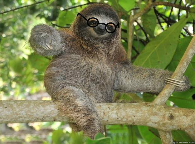   -    Sexy Sloth