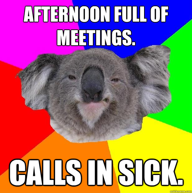 Afternoon full of meetings. calls in sick.  Incompetent coworker koala