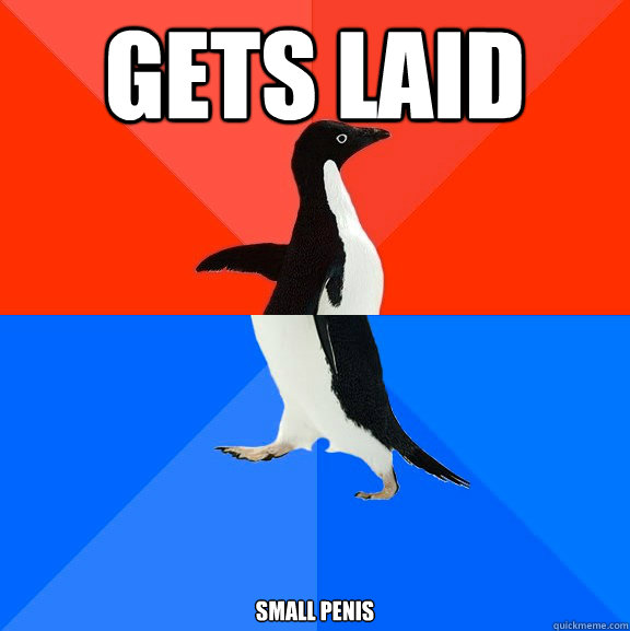 gets laid small penis  Socially Awesome Awkward Penguin