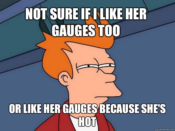 Not sure if i like her gauges too or like her gauges because she's hot  Futurama Fry