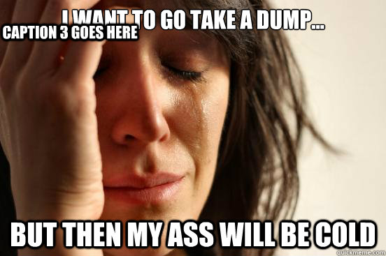 I want to go take a dump... but then my ass will be cold Caption 3 goes here  First World Problems