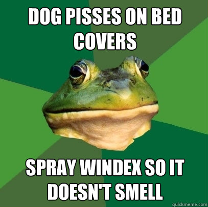 Dog pisses on bed covers spray windex so it doesn't smell  Foul Bachelor Frog