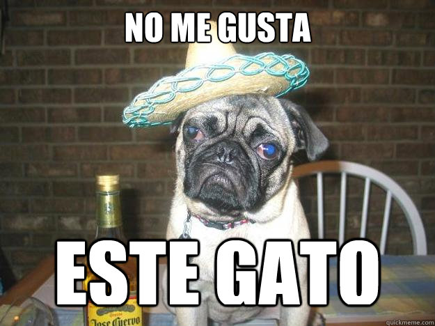 No me gusta este gato - No me gusta este gato  Vacation dog