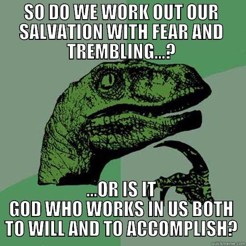 SO DO WE WORK OUT OUR SALVATION WITH FEAR AND TREMBLING...? ...OR IS IT GOD WHO WORKS IN US BOTH TO WILL AND TO ACCOMPLISH? Philosoraptor
