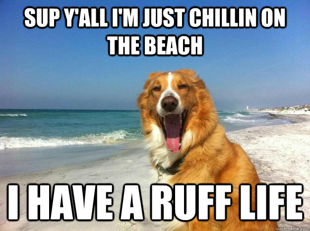 Sup y'all I'm just chillin on the beach I have a ruff life  - Sup y'all I'm just chillin on the beach I have a ruff life   sunscreenz