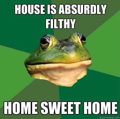house is absurdly filthy home sweet home  Foul Bachelor Frog