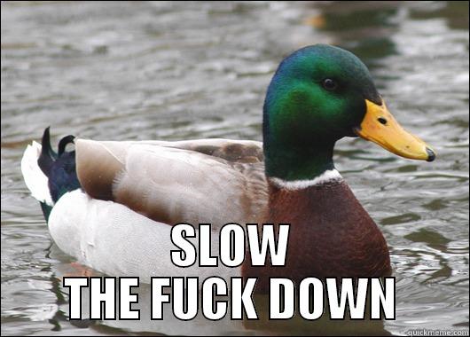  SLOW THE FUCK DOWN Actual Advice Mallard
