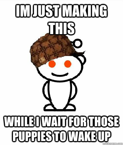 Im just making this while i wait for those puppies to wake up  Scumbag Redditors