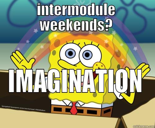 INTERMODULE WEEKENDS? IMAGINATION Spongebob rainbow