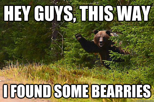 hey guys, this way i found some bearries - hey guys, this way i found some bearries  Bearly There