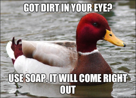 Got dirt in your eye?
 Use soap. It will come right out  Malicious Advice Mallard