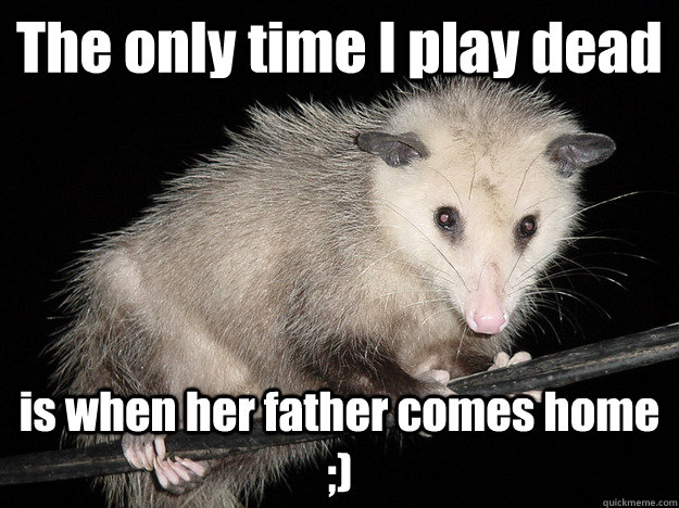 The only time I play dead is when her father comes home ;)  Awesome Possum