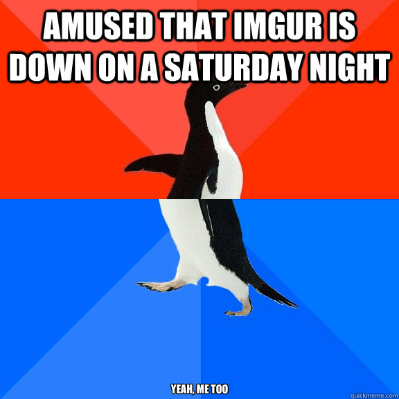 amused that imgur is down on a saturday night yeah, me too  Socially Awesome Awkward Penguin