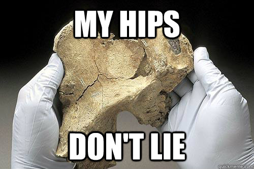 My hips don't lie - My hips don't lie  os coxae