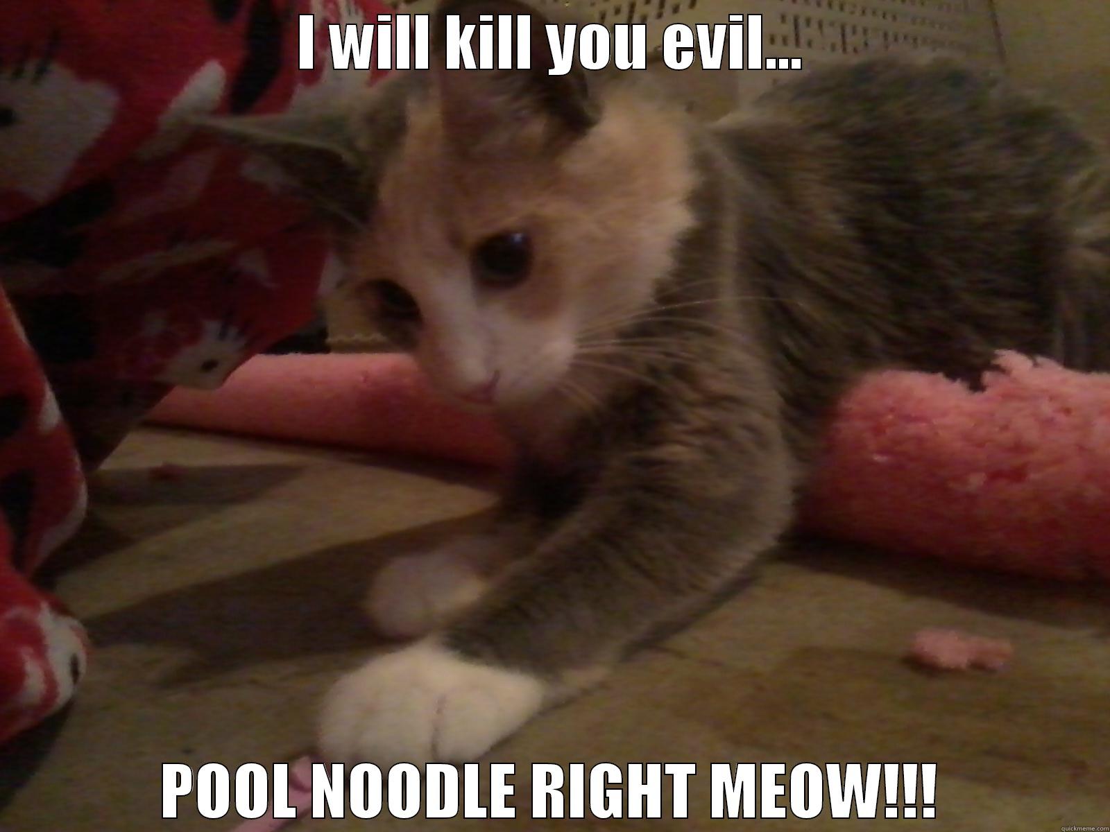 I WILL KILL YOU EVIL... POOL NOODLE RIGHT MEOW!!! Misc