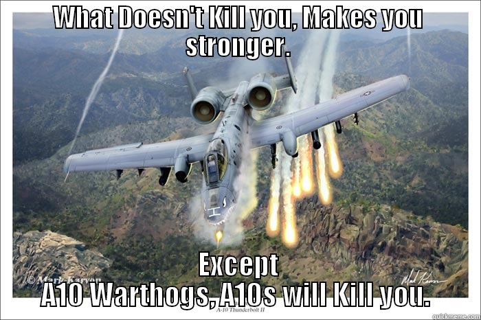 WHAT DOESN'T KILL YOU, MAKES YOU STRONGER. EXCEPT A10 WARTHOGS, A10S WILL KILL YOU.  Misc