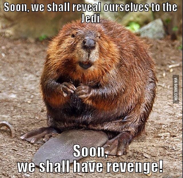 SOON, WE SHALL REVEAL OURSELVES TO THE JEDI SOON, WE SHALL HAVE REVENGE! Misc