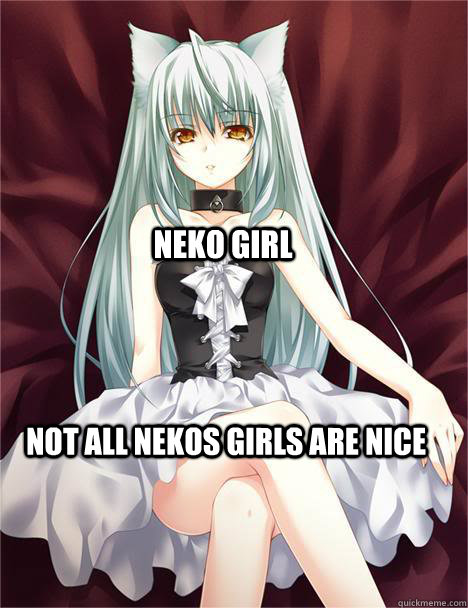 neko girl not all nekos girls are nice  
