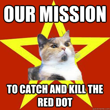 our mission to catch and kill the red dot  Lenin Cat