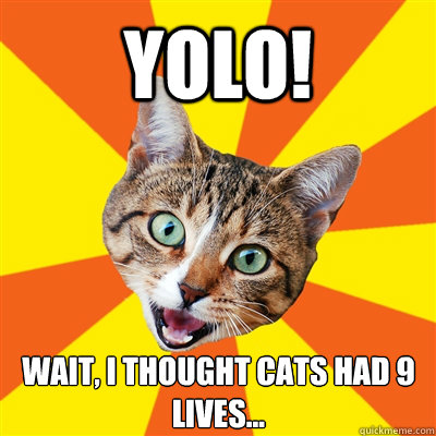 YOLO! Wait, I thought cats had 9 lives...  Bad Advice Cat