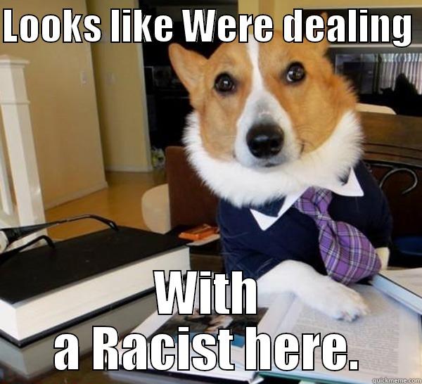 LOOKS LIKE WERE DEALING  WITH A RACIST HERE. Lawyer Dog