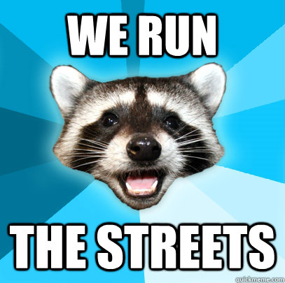 WE RUN THE STREETS  Lame Pun Coon
