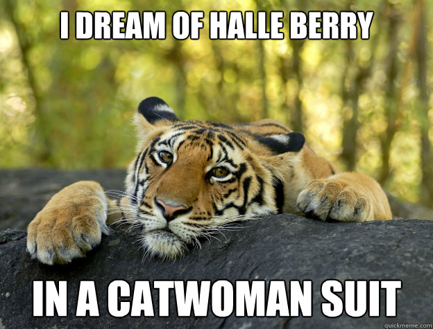 I dream of Halle Berry in a catwoman suit - I dream of Halle Berry in a catwoman suit  Confession Tiger