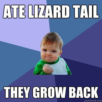 ate lizard tail they grow back  Success Kid