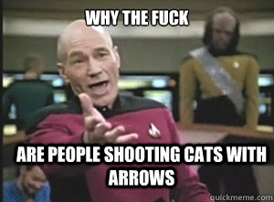why the fuck are people shooting cats with arrows  Annoyed Picard