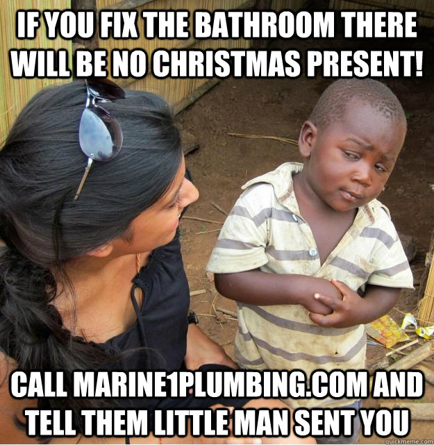 if you fix the bathroom there will be no christmas present! call marine1plumbing.com and tell them little man sent you  Skeptical Third World Kid