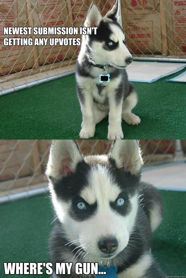 Newest Submission isn't 
getting any upvotes Where's my gun...  Insanity puppy